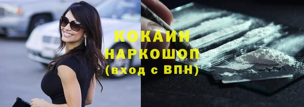 хмурый Алексин