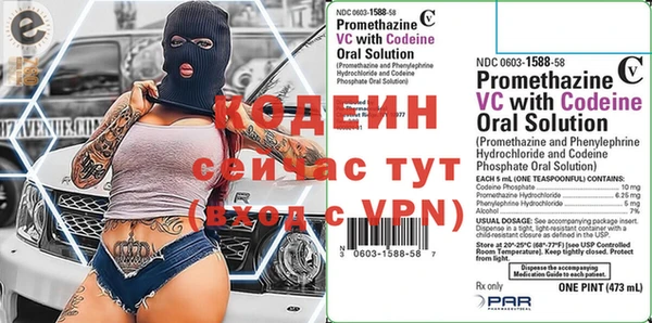 хмурый Алексин