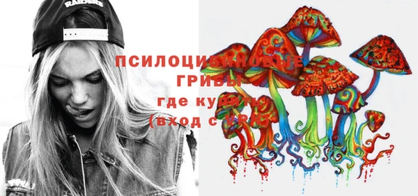 хмурый Алексин