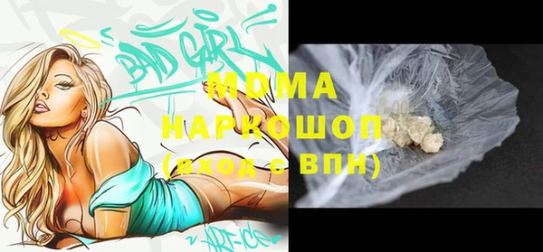 хмурый Алексин